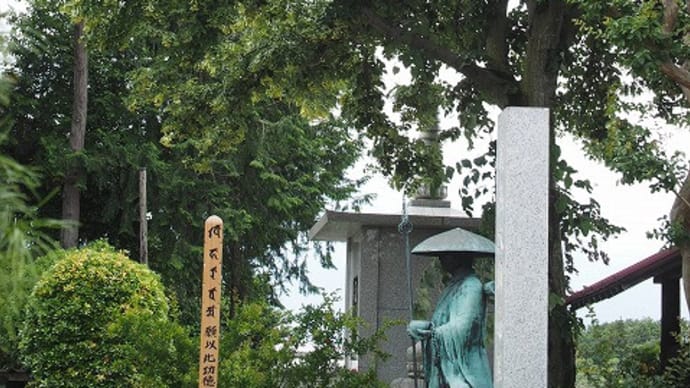 菩提樹の花