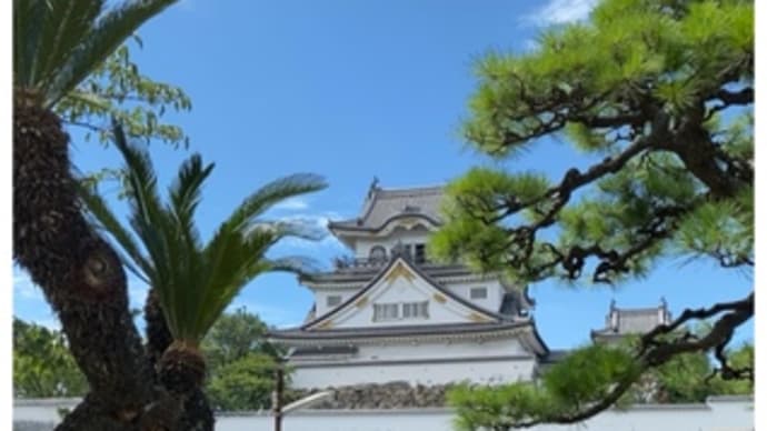 岸高落語会・3~2024.08.24
