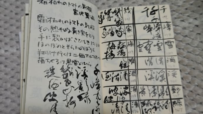 ベトナム実習生と根性無し書道