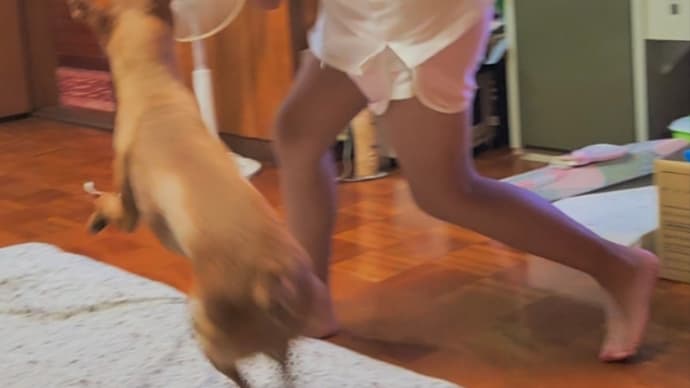 お掃除してみんなが帰った後お出かけ 8/12