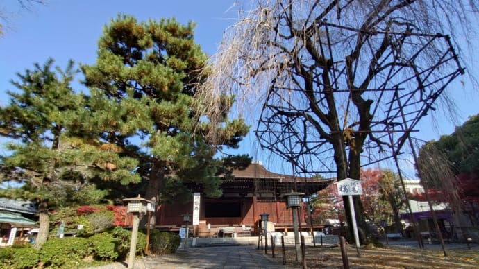 久しぶりの京都歩き(千本釈迦堂)