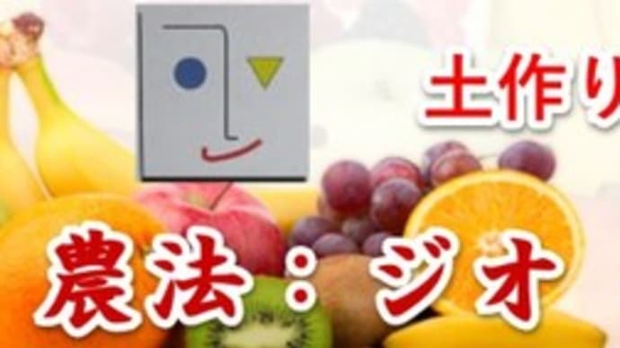 安全・安心・美味しい、健康野菜作り