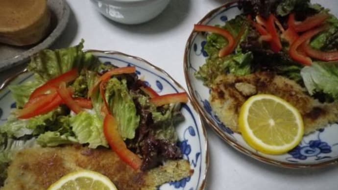 壊れたカメラと鰯のパン粉焼き
