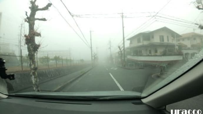 濃霧注意報の朝