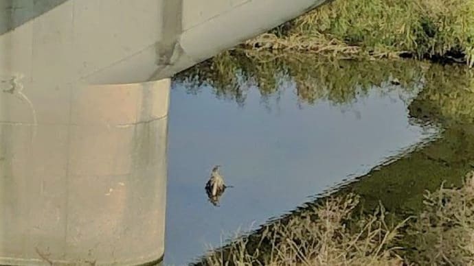 束の間だった