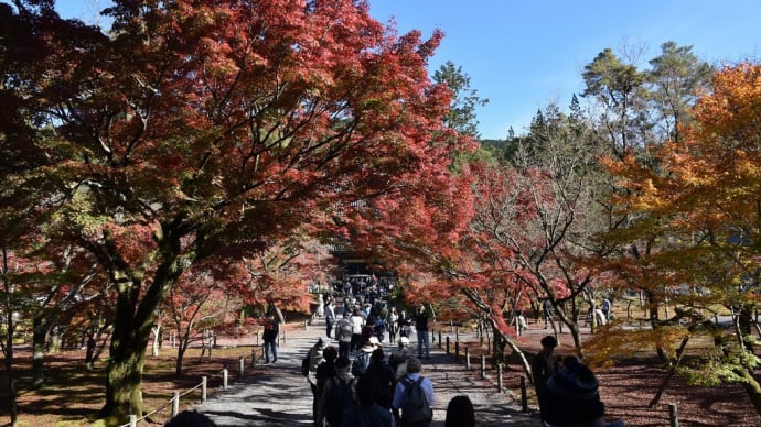 もみじ狩り　京都編4日目　京都市左京区南禅寺福地町　臨済宗大本山南禅寺【7】-1　三門から法堂までのもみじ