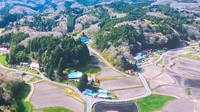 限界集落に住んでみて・今朝NHKの番組で感動