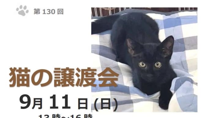 人生色々ある
