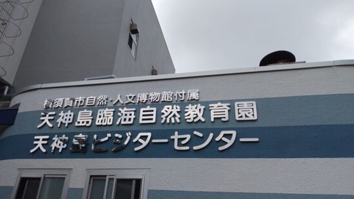 佐島天神島(2022.08.21)