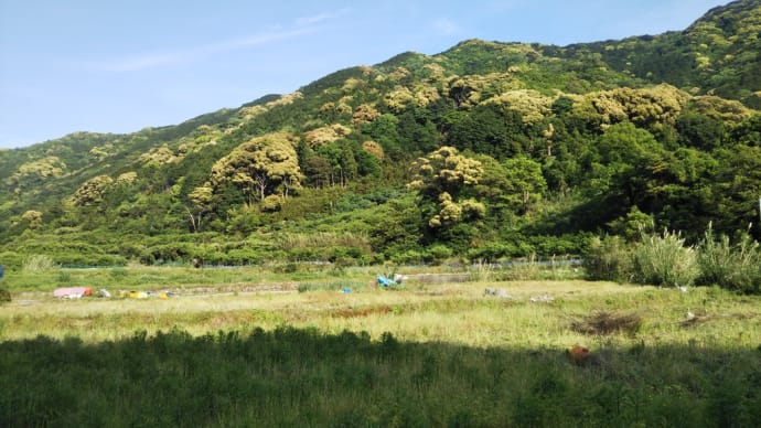 田植えのための耕起
