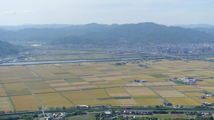 火の山から麦秋をのぞむ