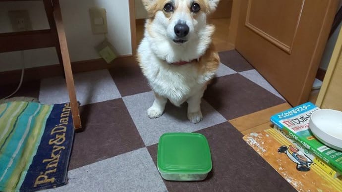 ステイできるよぉ~!