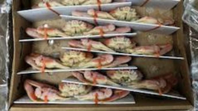 港ダイニングしおそう楽天店のカニを食べてみた🦀