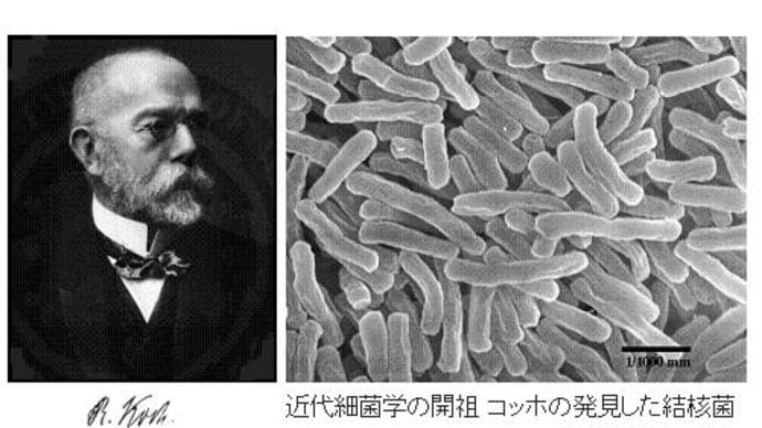 武漢ウイルス後の世界(1) 日常生活はどう変えるのか、変わるのか