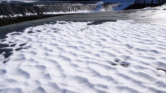 風雪紋