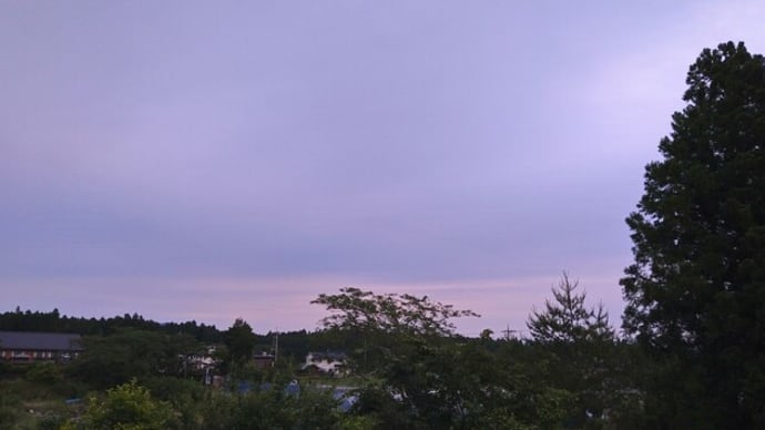 ピンクダリアの空