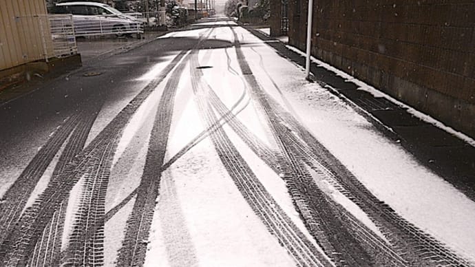 久しぶりの雪に・栃木