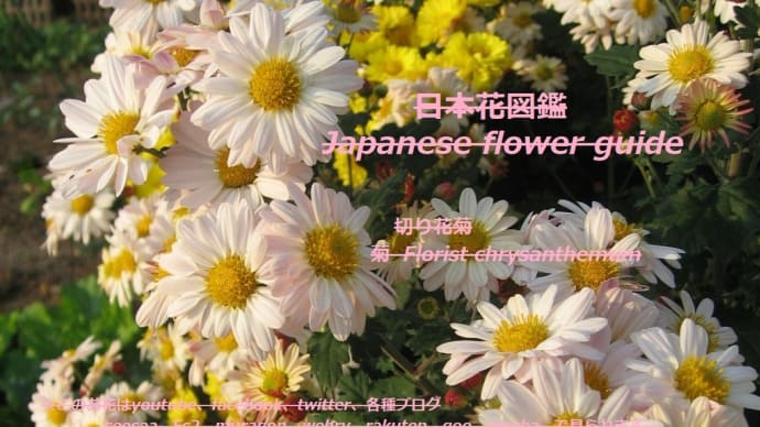 園の主役?!The protagonist of the garden? !!