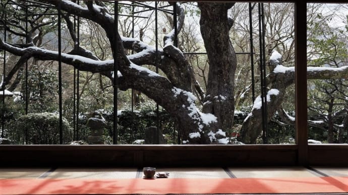 京都大原.....宝泉院