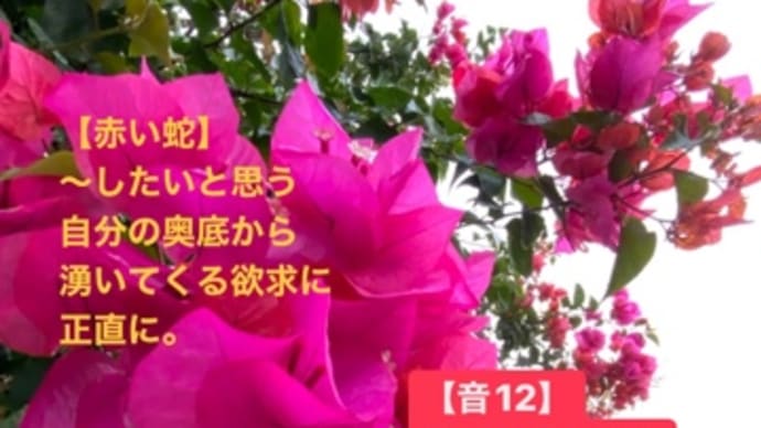 〜マヤ暦K 117 赤い地球・赤い蛇・音13〜 「もう一人の自分」の声を聞こう