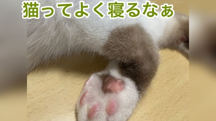 やめてちょーだい!