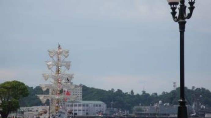 初夏のヴェルニー公園♪、(2024夏)。