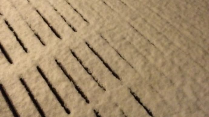 『雪』降ったよ〜☃️