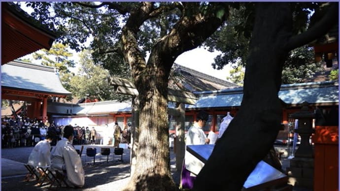 湯立神事(住吉大社・若宮八幡宮)