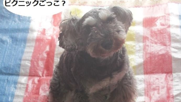 ばばあによる毛刈り(俺様)