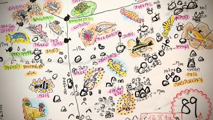 石橋最新生物事情2023/03/05[w/map&pics]