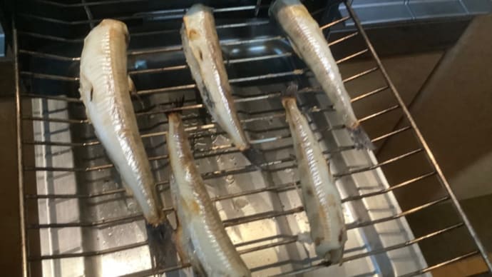 沖うるめ(^.^)塩焼き