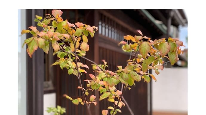 9月25日 お早うございます!