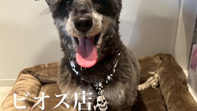 越前が! ビオス店