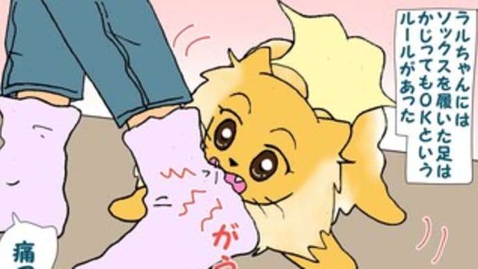 ソックスの運命