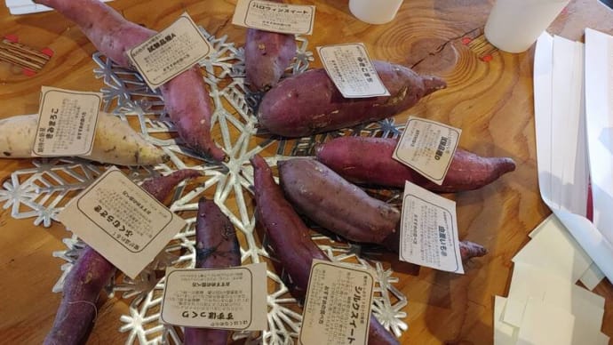 さつまいも色々9種類!