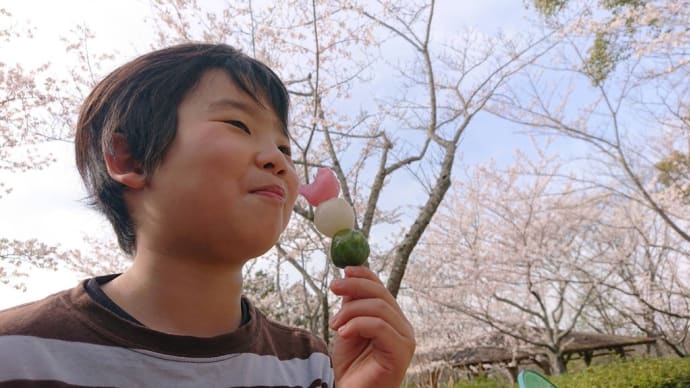 雨降る前に＆桜の木の下でお団子食べて☺️