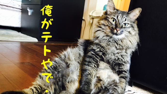 いつぶりか…