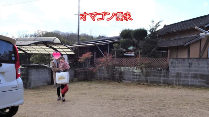 オマゴンちゃん 来たよ