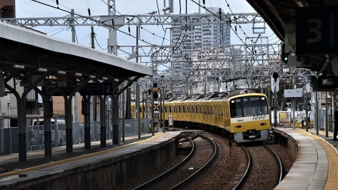 幸せの黄色い電車 京急 2022