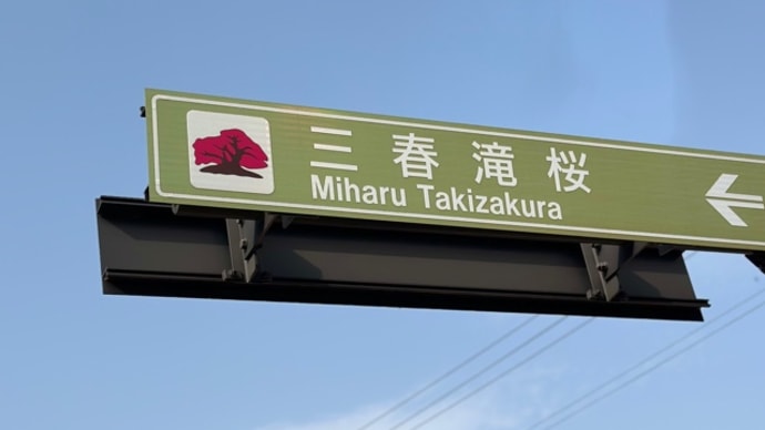 三春 滝桜