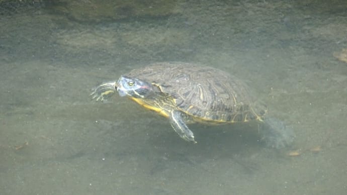 鎌倉ハイキング