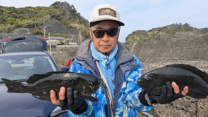 南伊豆 下流 今日の釣果