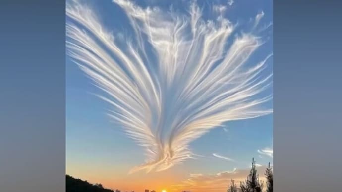 瑞兆か 空高く舞う金色の鳳凰=中国