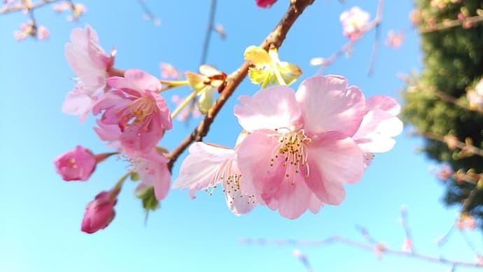2年ぶりの再会