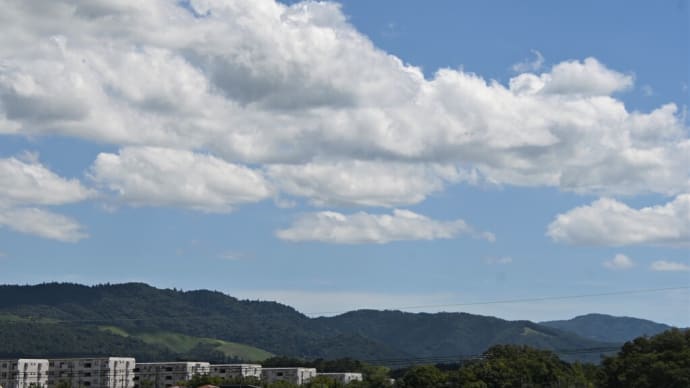 千羽鶴に託す思いは世界へ