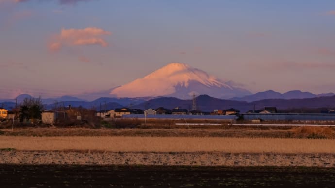 12/Feb 朝昼夕の富士山と湘南銀河大橋のシルエットと梅ジロ―
