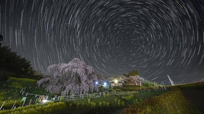 福島の桜巡り