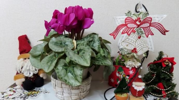 片付けとクリスマスの飾り付け&思いがけず人生の振り返り