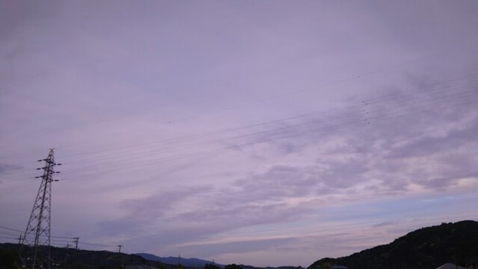 消えかけの鯖雲の空