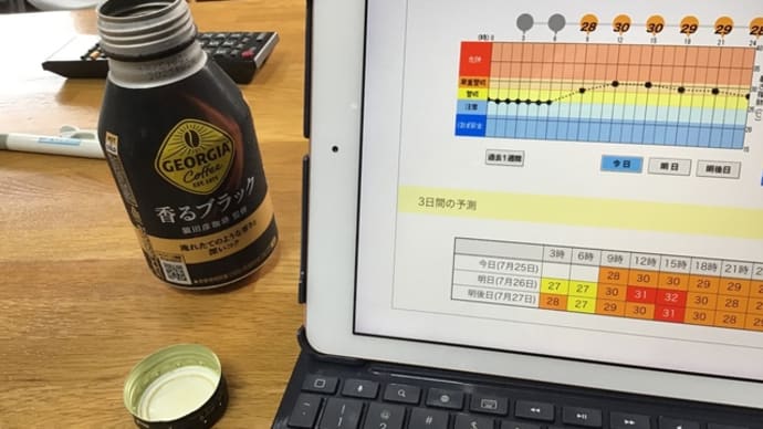 気になる指数(WBGT)